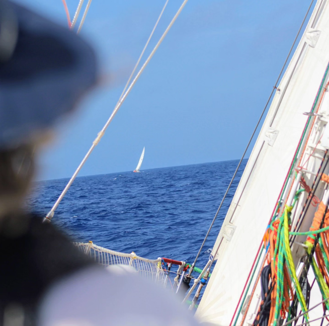 Gee's Sailing Diaries: Part 5