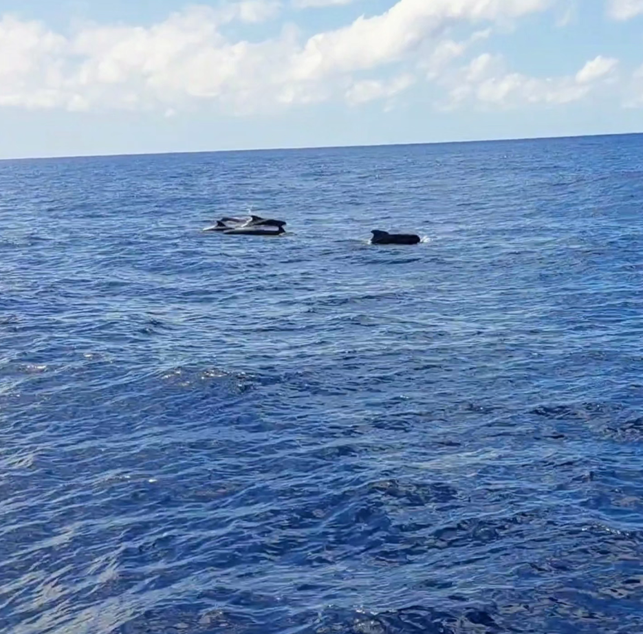 Gee's Sailing Diaries: Part 6