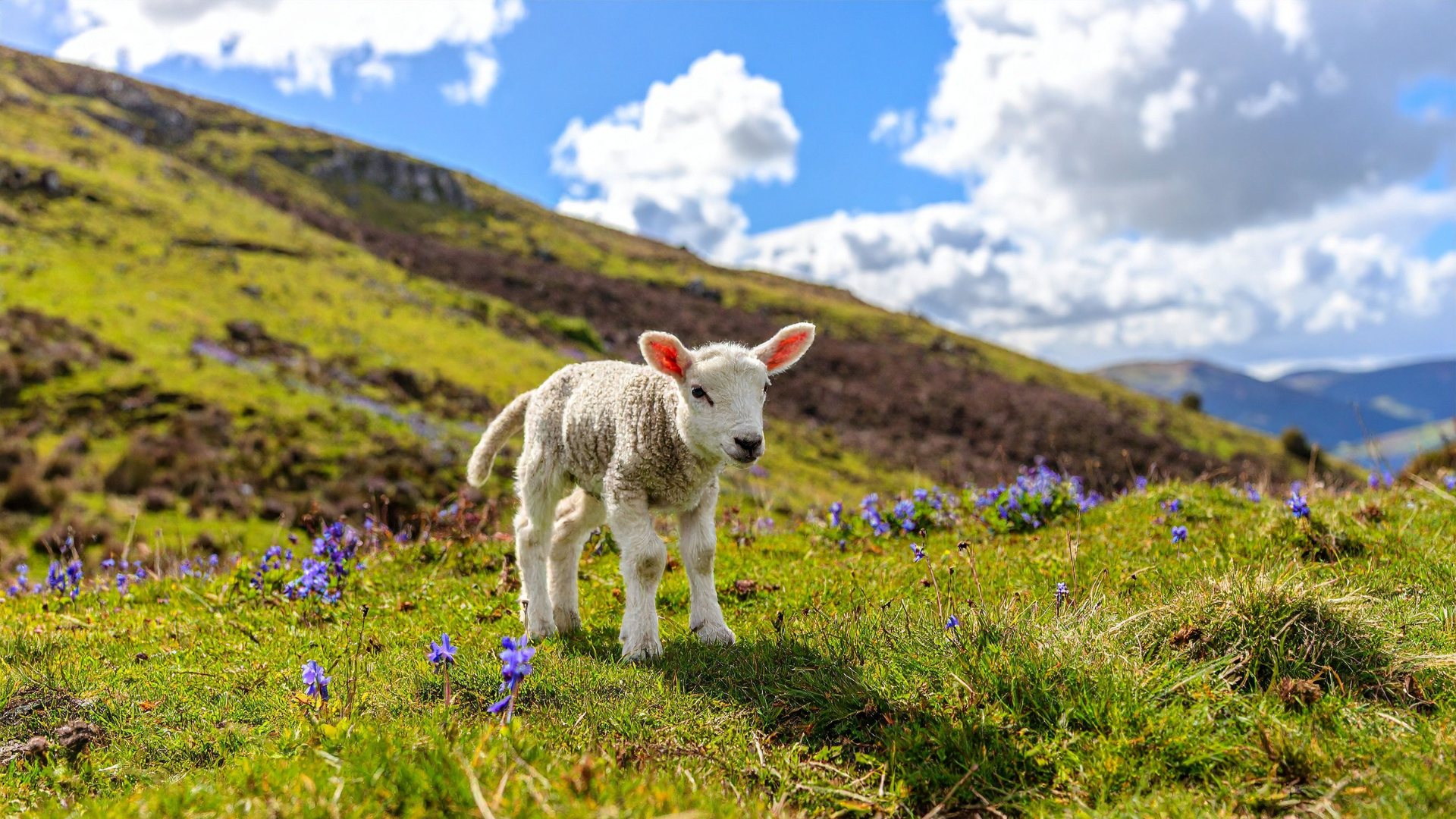 Family-Friendly Hikes in the Peak District